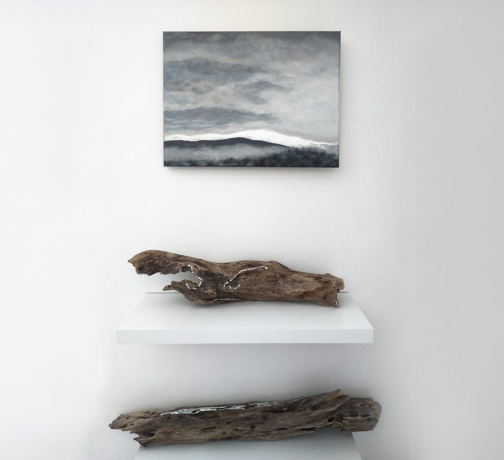 paysage de montagne gris et argenté